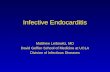 Endocarditis 200512-1233741644373579-2