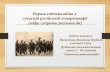 Перша світова війна в російській історіографії
