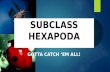 Subclass Hexapoda