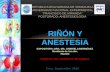 Riñon y anestesia seminario