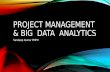 Project management for Big Data projects