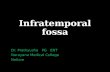 Infratemporal fossa a systematic approach