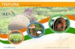 Tripura Sectore Report - October 2016