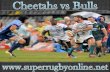 Cheetahs vs Bulls Live Super Rugby