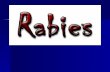 Rabies - Dr Akaki 20161129