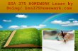Bsa 375 homework learn by doing  bsa375homework.com