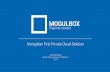 Mogul box intro english