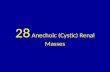 28 anechoic (cystic) renal masses