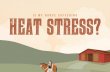Is My Horse Suffering Heat Stress?