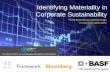 Identifying Materiality in Corporate Sustainability