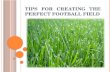 Tips for Creating the Perfect Football Field