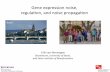Gene expression noise, regulation, and noise propagation - Erik van Nimwegen