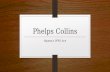 Phelps Collins