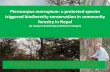 Pterocarpus marsupium Bijaya Sal (Kino tree)  conservation triggered biodiversity conservation in Nepal