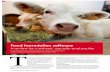 Feed formulation software - A review for ruminant, aquatic and poultry