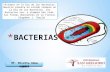 BACTERIAS MICROBIOLOGIA