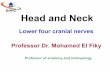 Lower four cranial nerves bmc
