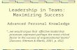 Leadership in team maximizing success