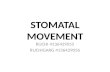 Stomatal movement