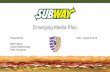 Subway Emerging Media Plan
