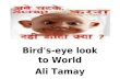 Birds Eye Look To World