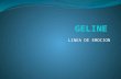 Exposición de mercadeo  geline . proyecto (3)