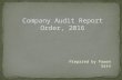 Company audit report order, 2016