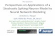 Perspectives on Applications of a Stochastic Spiking Neuron Model to Neural Network Modeling