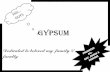 Gypsum pdf