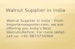 Walnut Exporter in India