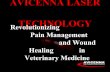 AVICENNA LASER TECHNOLOGY Revolutionizing Pain Management and ...