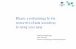 Katrien van eerdenbrugh b reach a methodology for the assessment of data consistency