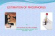 phosphorus estimation