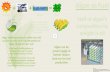 Biofuels Infographic