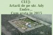 Cluj artarii de pe str. ady endre… cum arata in 2015
