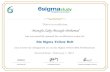 Course certification - 6sigmastudy - Six Sigma Yellow Belt...
