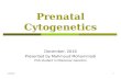 Prenatal cytogenetic