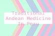Traditional Andean Medicine In Peru