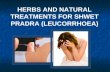 Herbs and Natural Treatment for Shwet Pradra (Leucorrhoea)