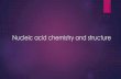 Nucleic acid chemistry and structure