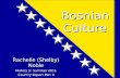 Bosnia pp2