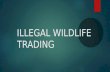 Illegal wildlife trading