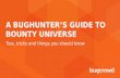 A bug hunter’s guide to bounty universe