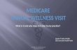 Medicare Annual Wellness Visit (AWV)