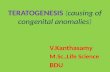 Teratogenesis (causing of congenital anomalies)