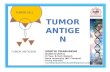 Tumor antigen