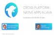Cross-Platform Native Apps in Java (budapest.mobile)