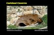 美國洞窟國家公園Carlsbad caverns