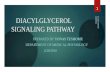 Diacylglycerol           signaling pathway