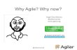 Why agile and why now?